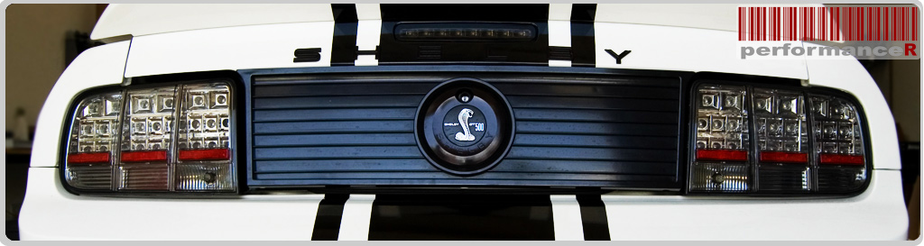 4Runner Euro | Projector | Halo Headlights