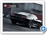 Precut Window Tint