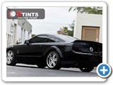 Precut Window Tint